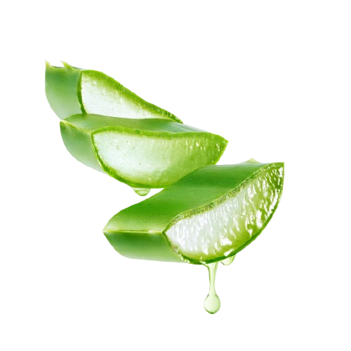 Aloe